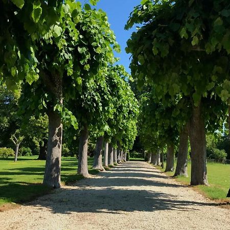 ホテルLe Manoir De Laferté-sur-Aube エクステリア 写真