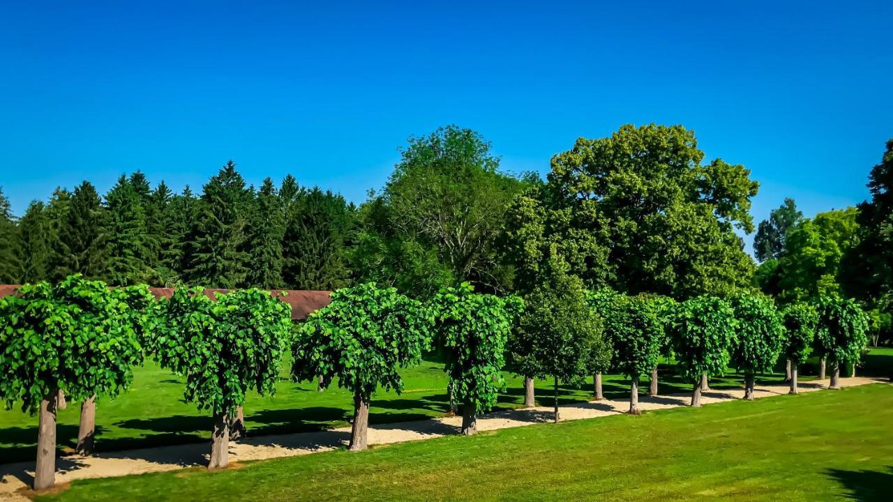 ホテルLe Manoir De Laferté-sur-Aube エクステリア 写真